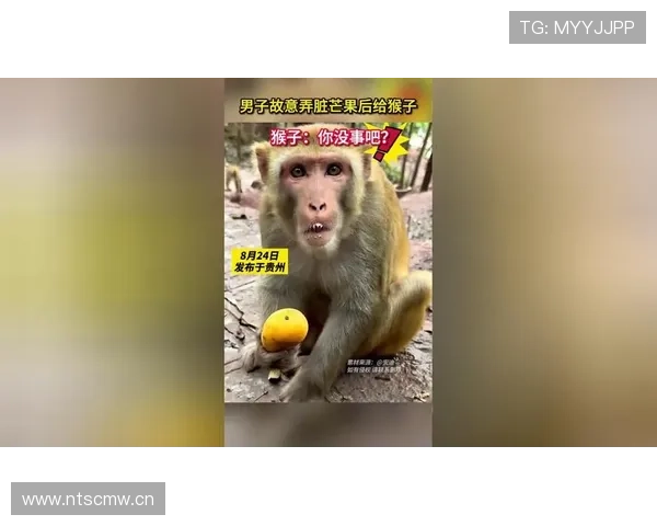 掌敏洁饭局散场抱着宵夜走出门，手腕那块表比我一个月工资还贵，表情像没事人